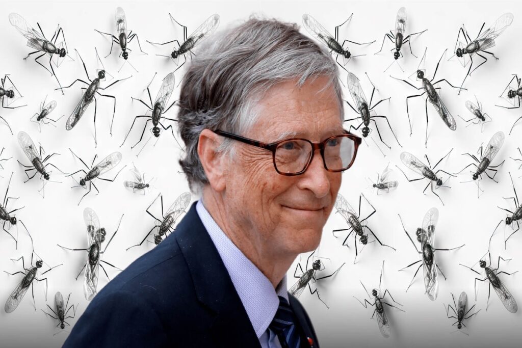 Por que Bill Gates tiene una gigantesca de mosquitos modificados