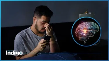 ¿Están los videos cortos reconfigurando nuestro cerebro? La advertencia de Elon Musk y qué dice la ciencia